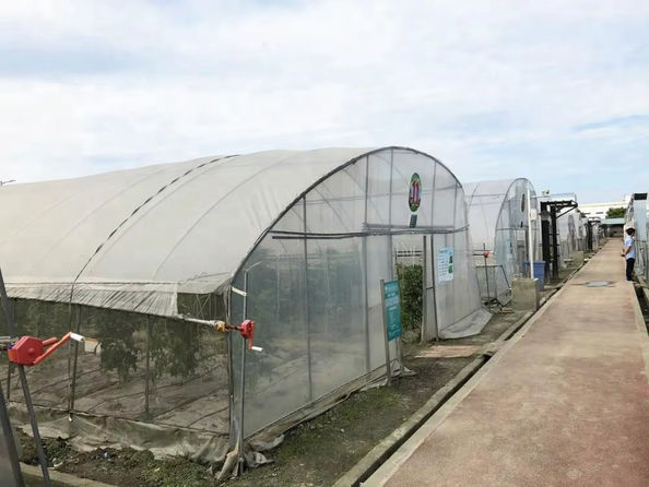 マット・チャールトン