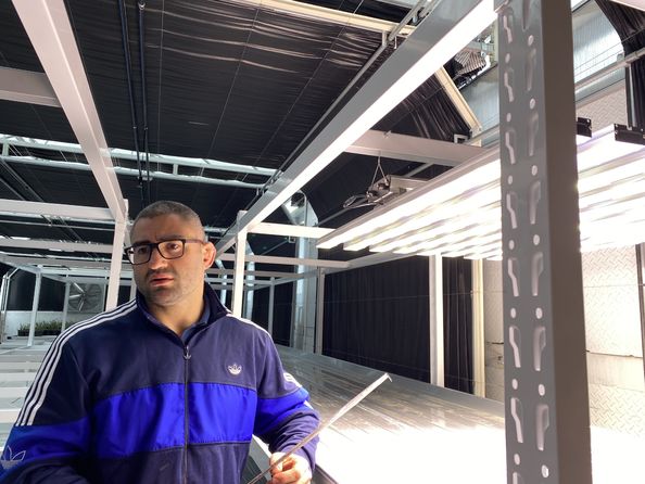 ブロデリック・ヴァネーナム