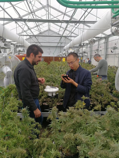 シルベスター・ナイケン