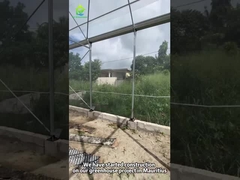 モーリシャスにおける持続可能温室プロジェクト