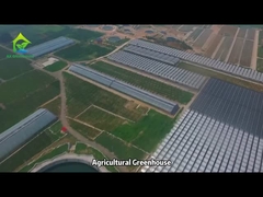農業温室プロジェクト