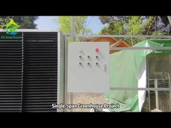 AX温室 単段温室プロジェクト