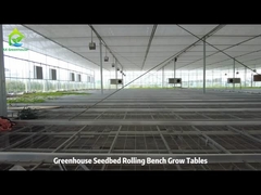 ワイヤーメッシュ成長テーブルとエブ 洪水ローリングベンチ 温室のための成長テーブル