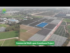 ポリプラスチックフィルムトンネル 多スパン農業野菜栽培温室