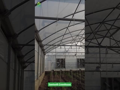 鋸歯状デザイン熱帯プラスチックフィルム温室