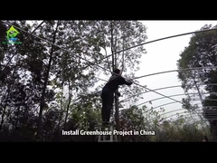 単棟ビニールハウス骨組みの設置