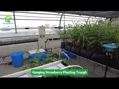 吊り下げ式イチゴ栽培用プランター 省スペース