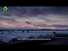 大規模マルチスパンフィルム農業用温室