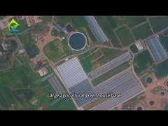 大規模農業温室栽培基地