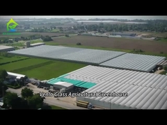 トマトとペッパーを栽培するための完全にインテリジェントなガラス温室