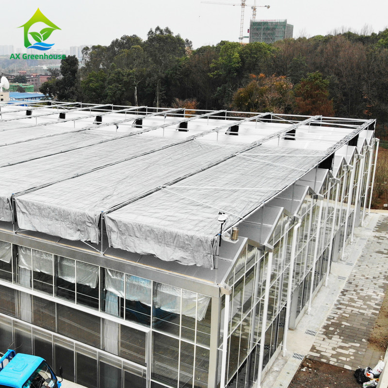 インテリジェント制御システム 野菜用耐久温室 9.6m/10.8m/12m 幅
