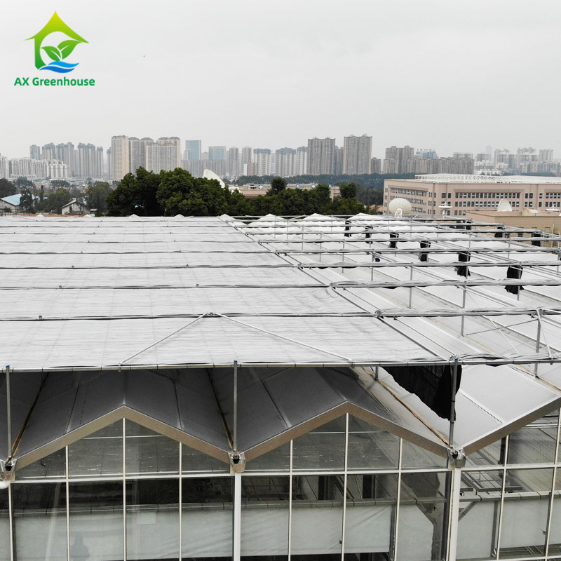 熱浸し 鋼筋構造 三角型 屋根 鋳造 30*20m 商業用 カスタマイズされた自動温室 ベンロ ガラス温室