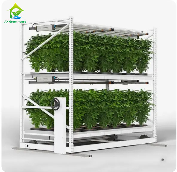 垂直農業のためのカスタマイズされた室内二層植物薬草栽培ラック