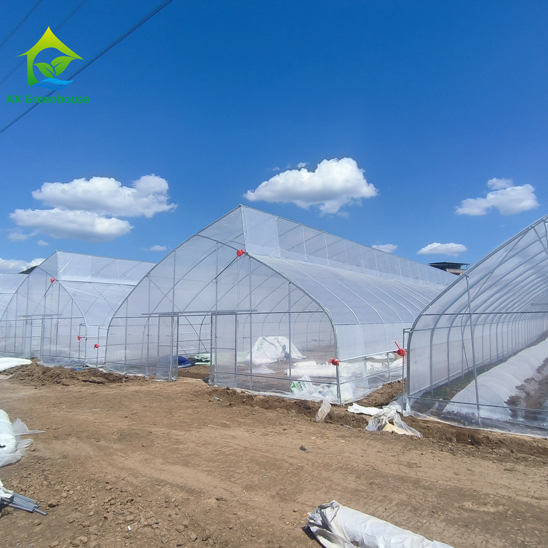 Factory Price Custom Plastic Film Tunnel Tomato Grow Tent Greenhouse for Agriculture