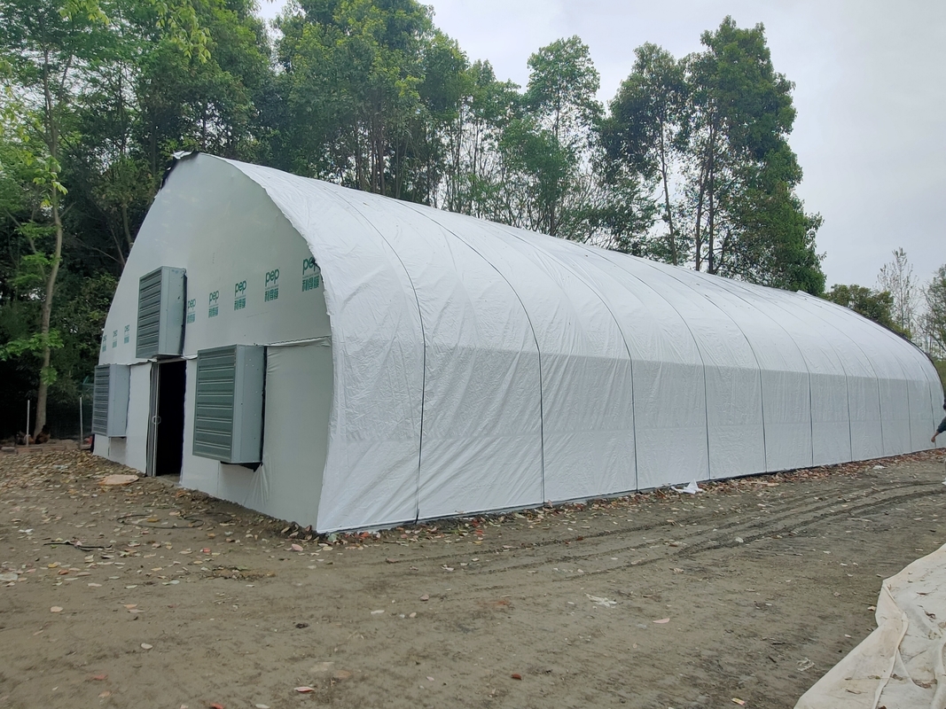 Factory Price Custom Plastic Film Tunnel Tomato Grow Tent Greenhouse for Agriculture