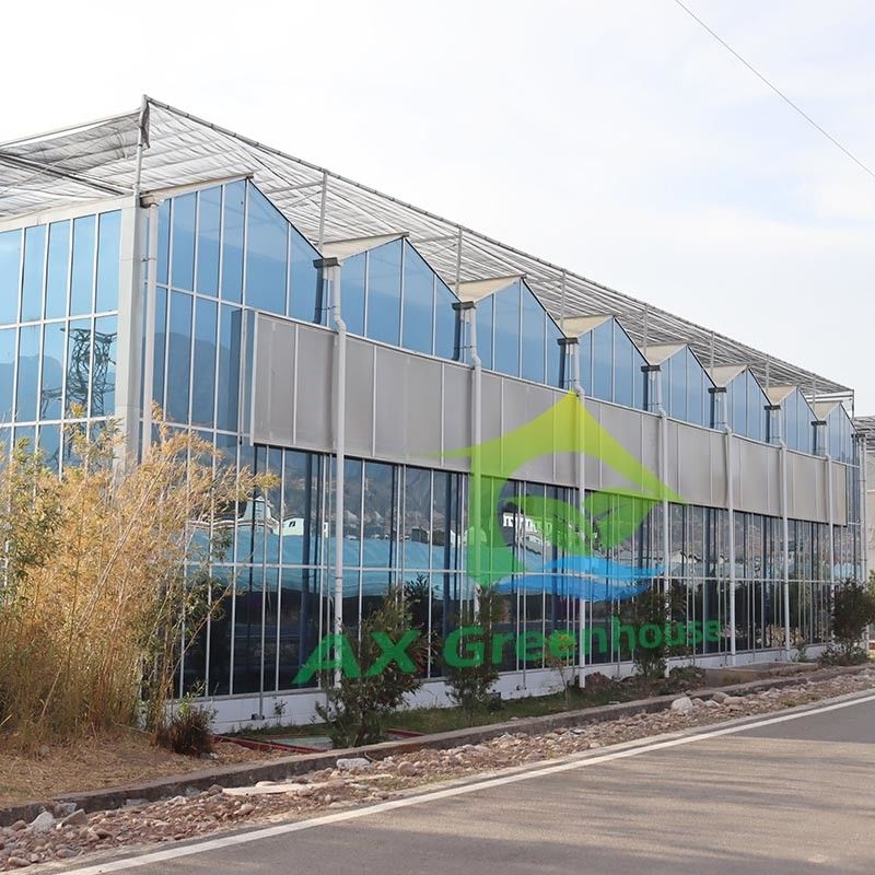 キュウリ栽培用ヴェンロー型農業用ガラス温室 強化パネル 亜鉛メッキ鋼フレーム