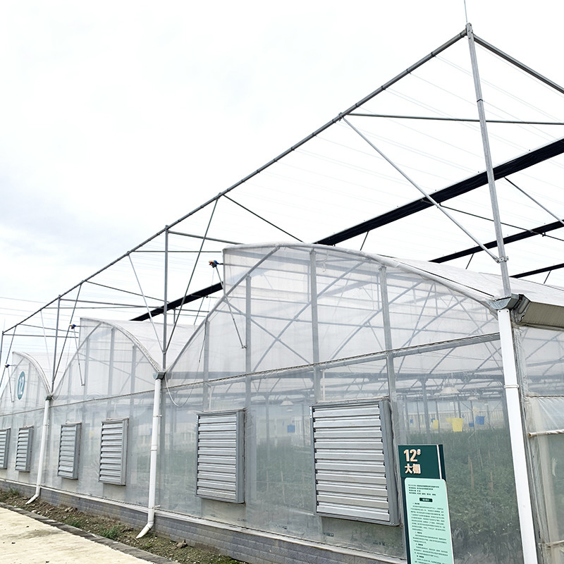 鋼鉄構造 ソーツーフ ポリフィルム 低トンネル 持続可能な野菜生産のための農業多スパン温室