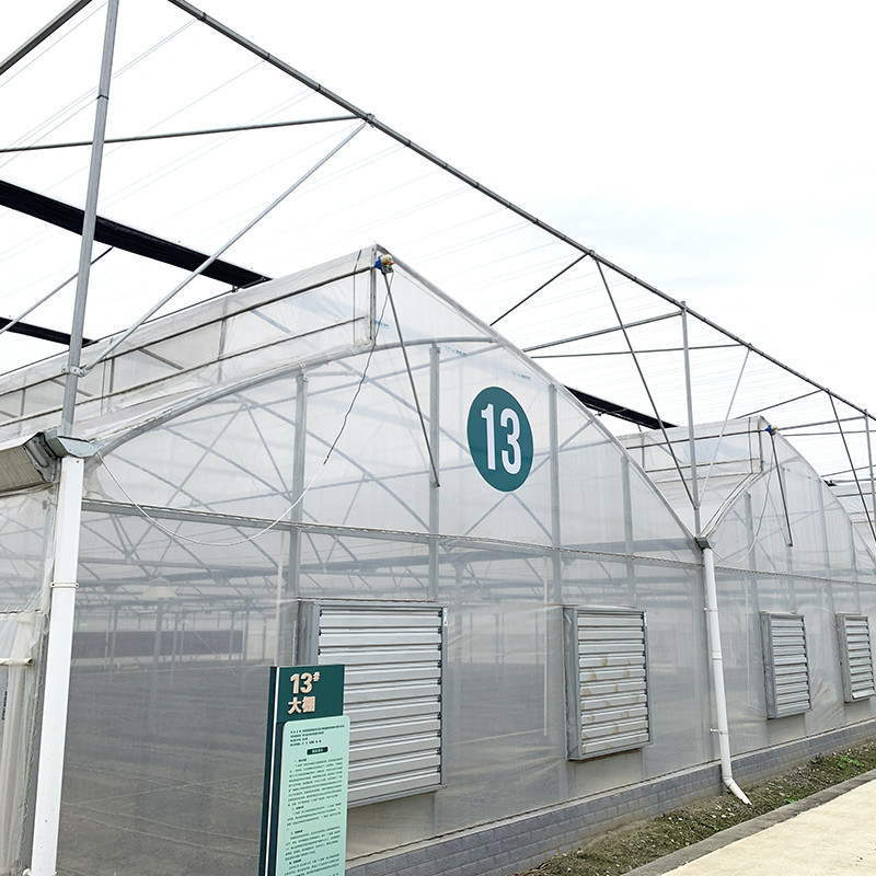 鋼鉄構造 ソーツーフ ポリフィルム 低トンネル 持続可能な野菜生産のための農業多スパン温室