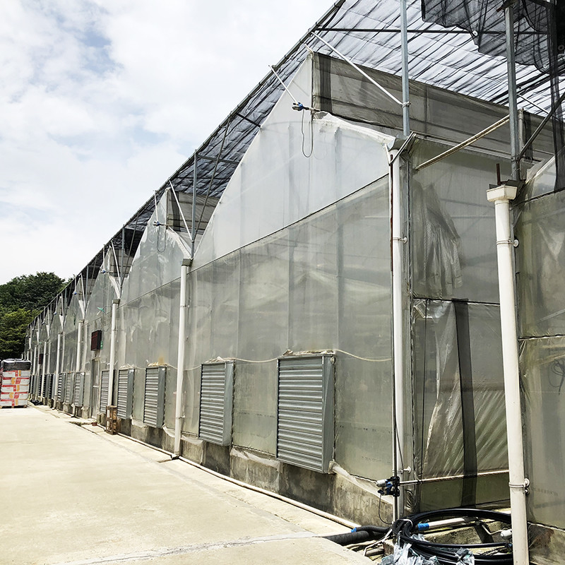 鋼鉄構造 ソーツーフ ポリフィルム 低トンネル 持続可能な野菜生産のための農業多スパン温室