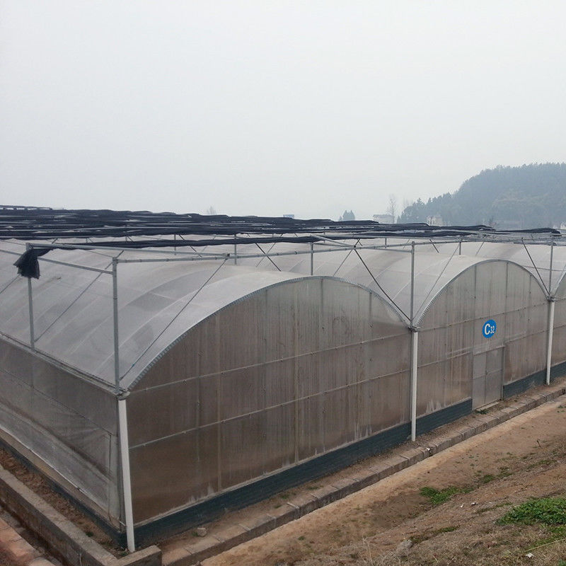 信頼性の高いポリトンネル温室 防錆鋼フレーム 長持ちするトマト用フィルム