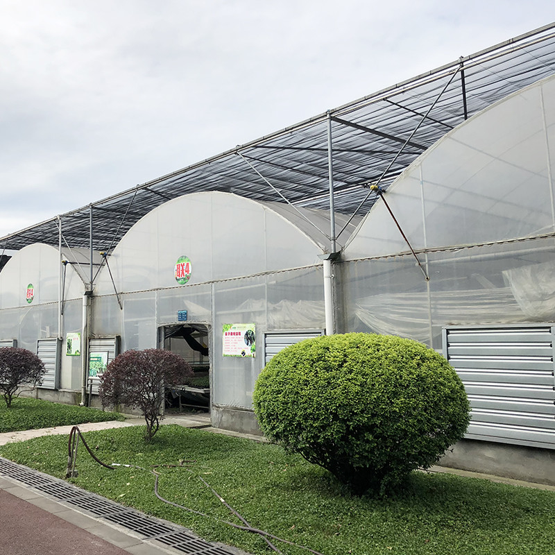 安定した構造 工業用プラスチックPEフィルム 多スパン 農業用花屋 ポリトンネル温室