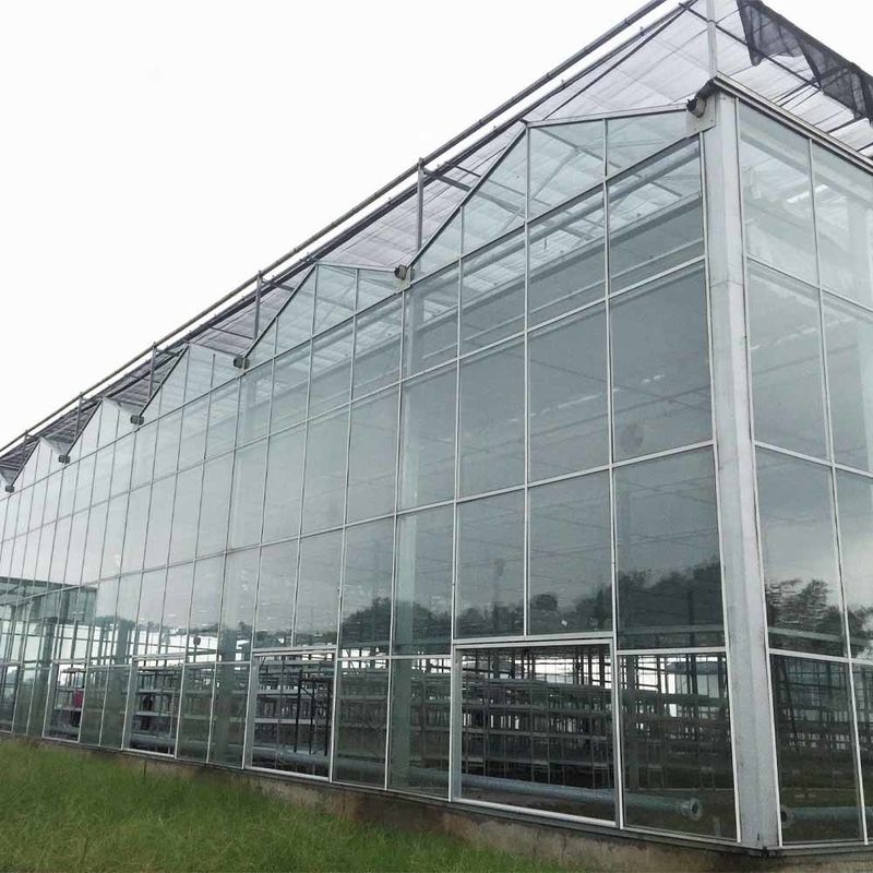 多スパン ベンロ様式 ガラスの農業温室 屋根の三角形型と上側の換気装置