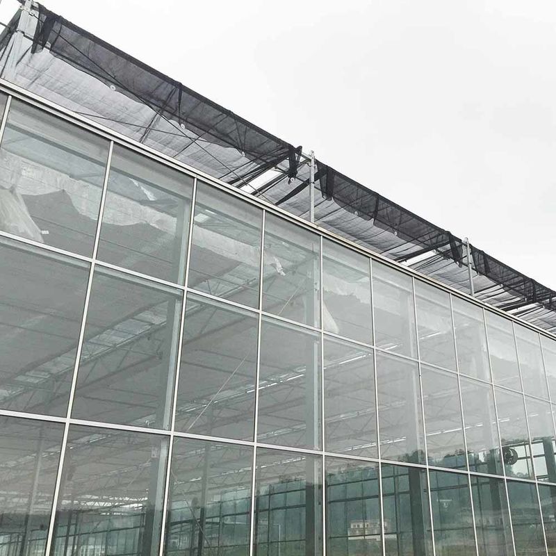 農業 ヴェンロ型ガラス温室 オランダ工学 液体栽培用ガルバン化フレーム