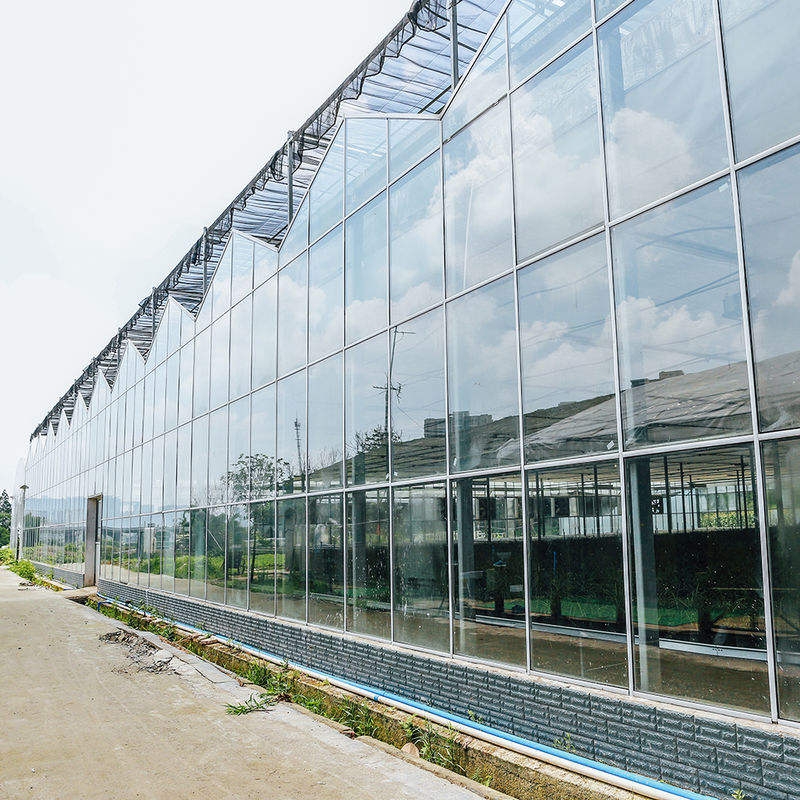 農園 農園 植物 種植 グラス温室