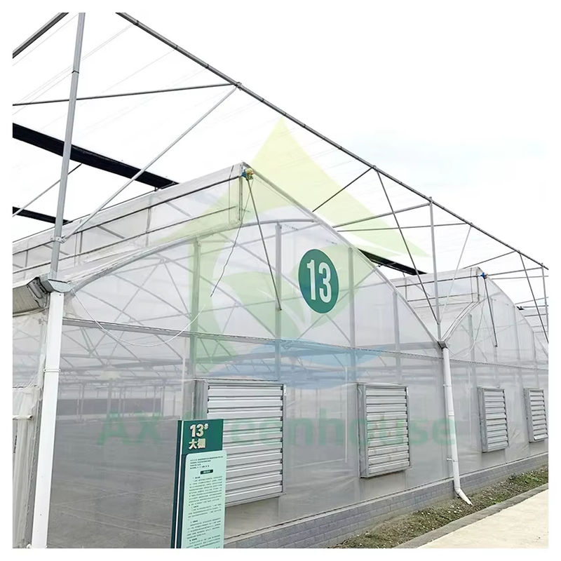 自然換気と光拡散のための鋸歯状屋根付きマルチスパンポリトンネル温室