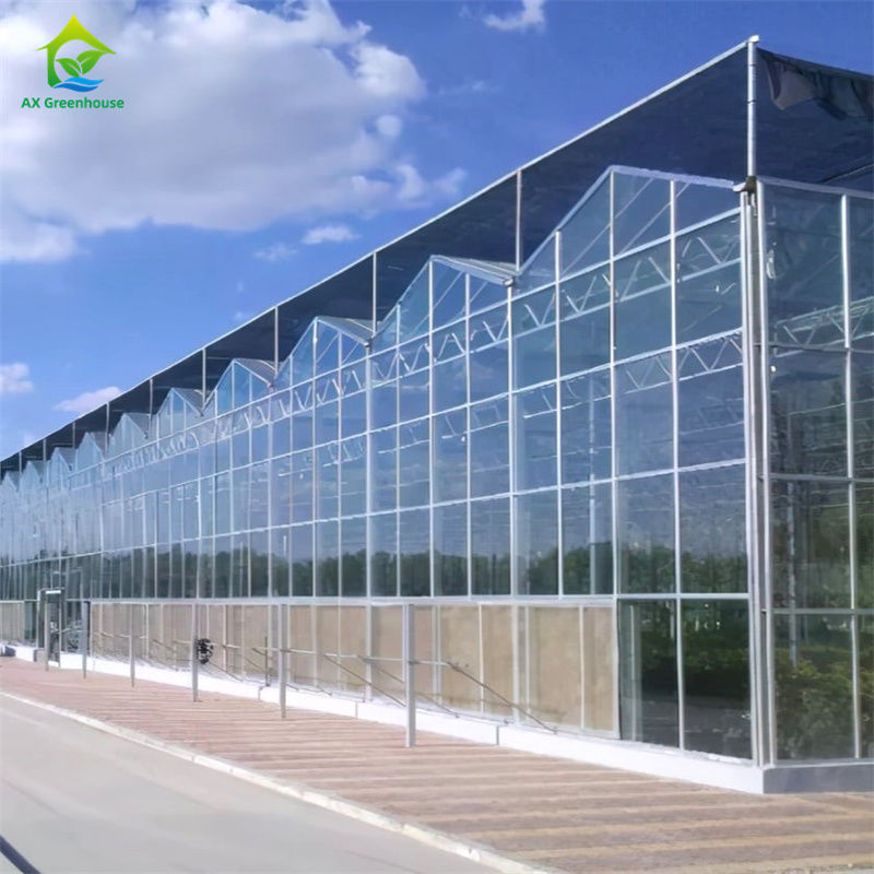 丈夫なガラスポリカーボネート温室の野菜イチゴ栽培設備 - オールインワン温室キット