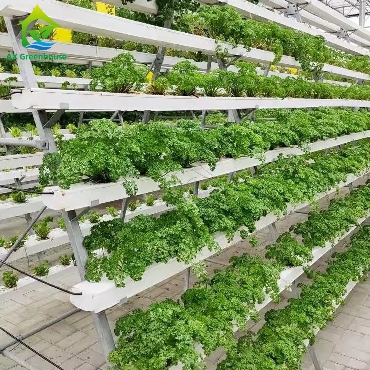 温室無土種植システム Aフレーム 栄養フィルム技術 NFTチャンネル 効率的な野菜栽培