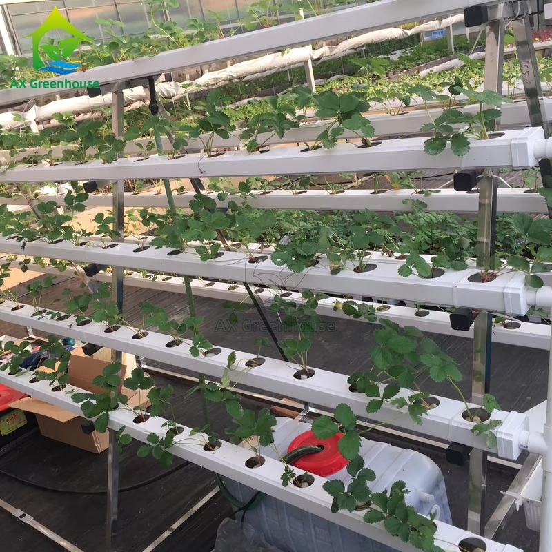 温室無土種植システム Aフレーム 栄養フィルム技術 NFTチャンネル 効率的な野菜栽培