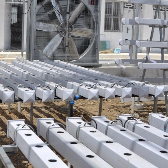 UV阻害剤と商業用温室向けのカスタマイズ可能な寸法を備えた食品グレードPVC NFT水耕栽培ガリーシステム