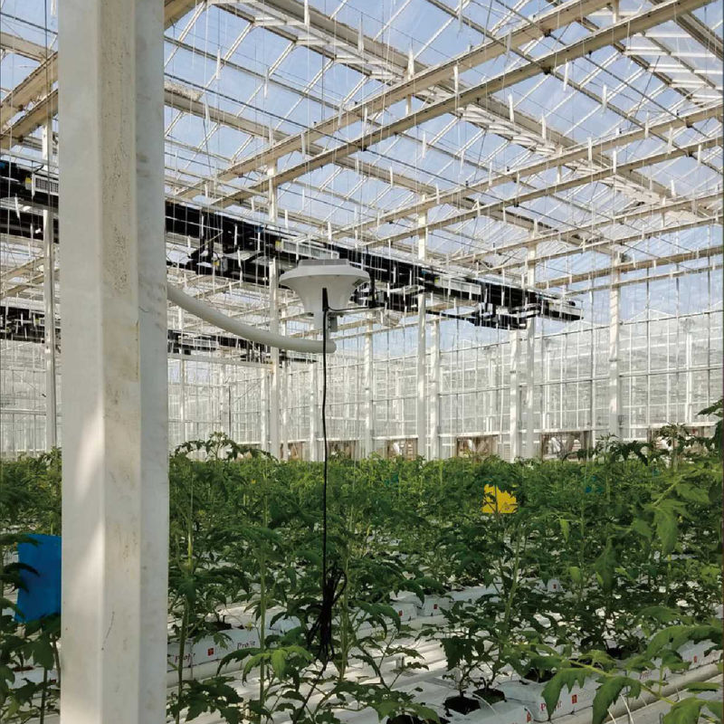 最適な気候制御のためのAC220V電源と0~50000ppmのCO2濃度計を備えたインテリジェント温室監視システム