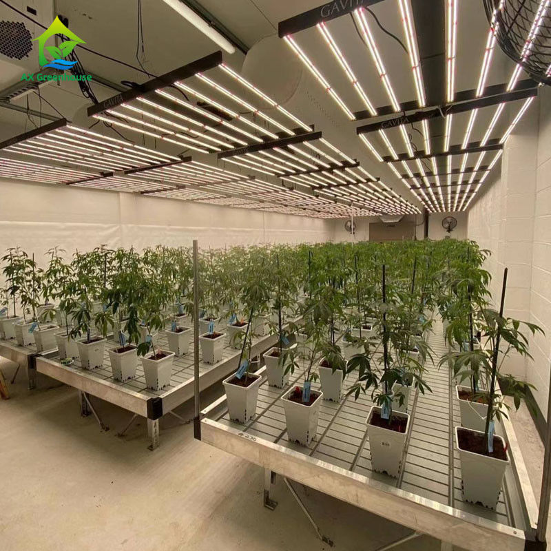 安定したエコフレンドリー温室ローリングベンチ ABSプラスチックシートとカスタマイズ可能なサイズでアルミニウム合金フレーム