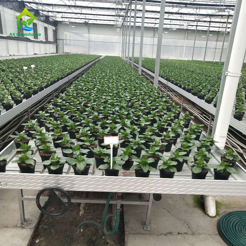 安定したエコフレンドリー温室ローリングベンチ ABSプラスチックシートとカスタマイズ可能なサイズでアルミニウム合金フレーム