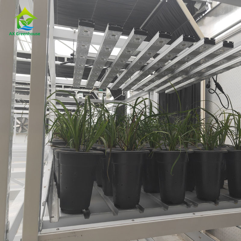 垂直農業のためのカスタマイズされた室内二層植物薬草栽培ラック