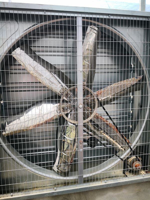 工業用グレードアルミニウム温室排気ファン 腐食耐性 加湿蒸発冷却用